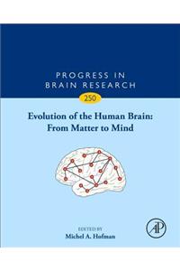 Evolution of the Human Brain: From Matter to Mind