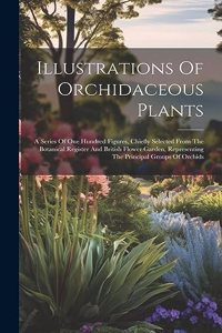 Illustrations Of Orchidaceous Plants