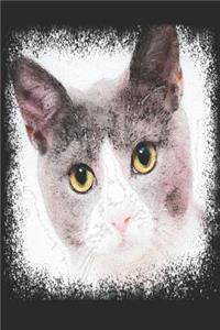 Gray Cat Journal