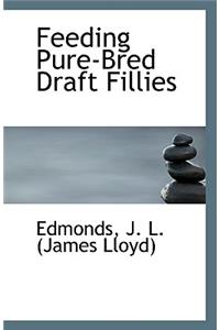 Feeding Pure-Bred Draft Fillies