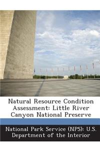 Natural Resource Condition Assessment