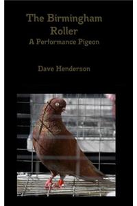 The Birmingham Roller a Performance Pigeon
