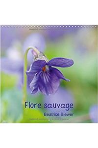 Flore Sauvage 2017: Les Petites Fleurs Sauvages de Nos Pres et Champs (Calvendo Nature)