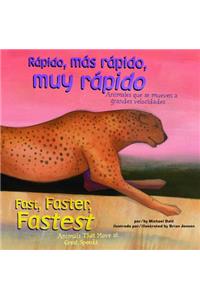 Rápido, Más Rápido, Muy Rápido/Fast, Faster, Fastest