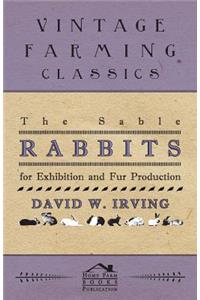 The Sable Rabbit For Exhibition and Fur Production