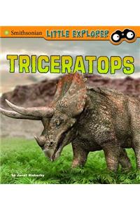 Little Paleontologist Triceratops