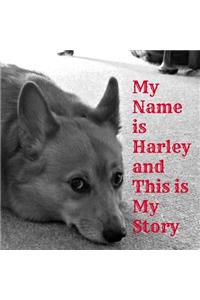 My Name Is Harley and This Is My Story