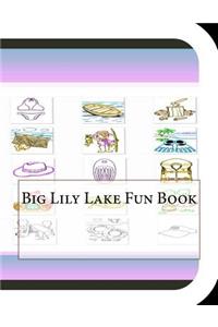 Big Lily Lake Fun Book