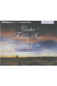 Under a Falling Star