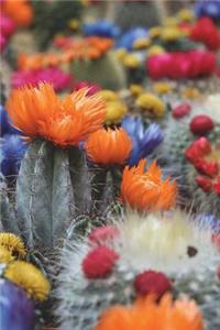 Desert Garden with Succulents Journal