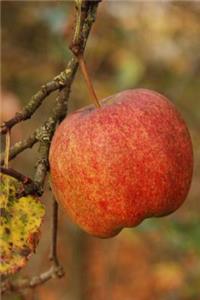 Apple Picking Time Journal