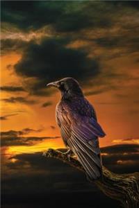 The Raven at Dawn Notebook