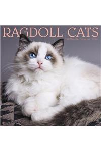 Ragdoll Cats 2019 Wall Calendar