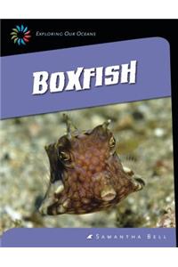 Boxfish