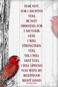 Isaiah 41