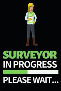 Surveyor In Progress Please Wait