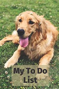 My To Do List