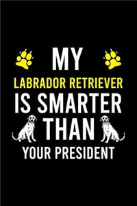 My Labrador Retriever Is Smarter Than Your President