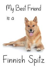 My best Friend is a Finnish Spitz