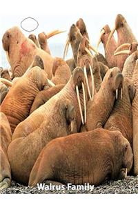 Walrus Family Wide Ruled Line Paper Composition Book