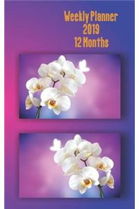 Weekly Planner 2109 12 Months