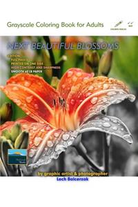 Next Beautiful Blossoms - Grayscale Coloring Book for Adults