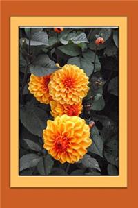 Dahlia Notebook