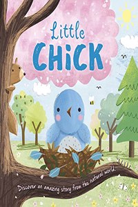 Nature Stories: Little Chick-Discover an Amazing Story from the Natural World