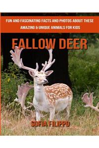 Fallow Deer