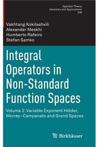 Integral Operators in Non-Standard Function Spaces
