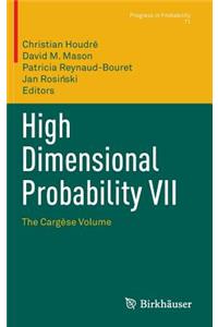 High Dimensional Probability VII