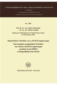 Magnetisches Verhalten von γ-Fe-Ni-Cr-Legierungen