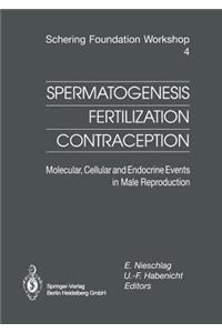 Spermatogenesis -- Fertilization -- Contraception