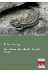 in Deutschland Lebenden Arten Der Saurier