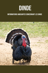 Dinde