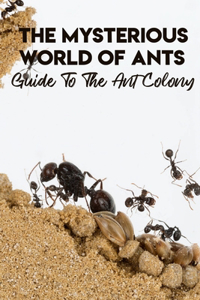 The Mysterious World Of Ants Guide To The Ant Colony