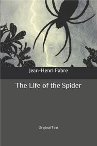 The Life of the Spider