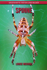 Spinne