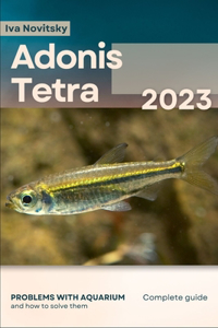 Adonis Tetra