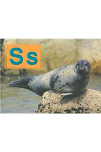 Ss