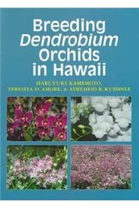 Breeding Dendrobium Orchids in Hawaii