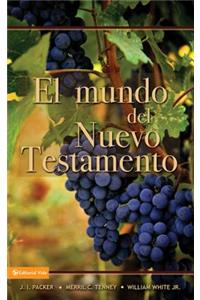 Mundo del Nuevo Testamento