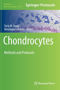 Chondrocytes