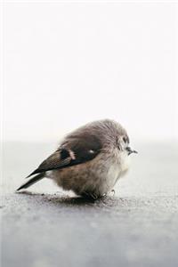 Lonely Little Bird Journal