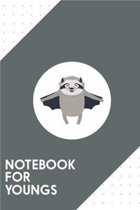 Notebook for Youngs