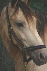 Horseback Rider Graph Paper Notebook