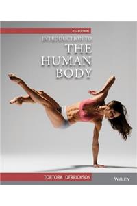 Introduction to the Human Body