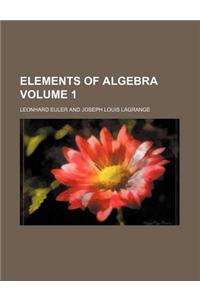 Elements of Algebra Volume 1