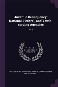 Juvenile Delinquency