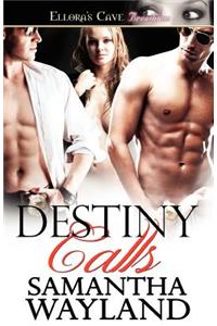 Destiny Calls